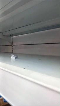 Compras al por mayor de repelentes, precios exorbitantes y escasez en farmacias y supermercados