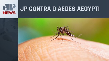 Dengue: Quais os medicamentos devem ser evitados em caso de suspeita?