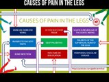 Causes of pain in the legs