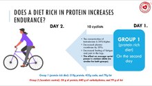 Does a diet rich in protein increases endurance?