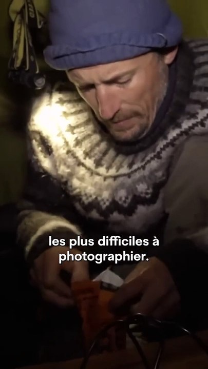 Ce photographe n'aurait jamais imaginé faire cette incroyable découverte !