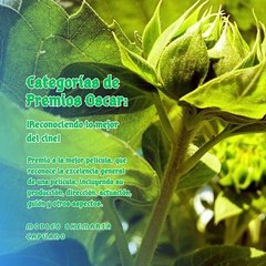 Moises Shemaria Capuano|Premio a la mejor película en los óscar  (Parte 2) (Creado por @MoisesShemariaCapuano)