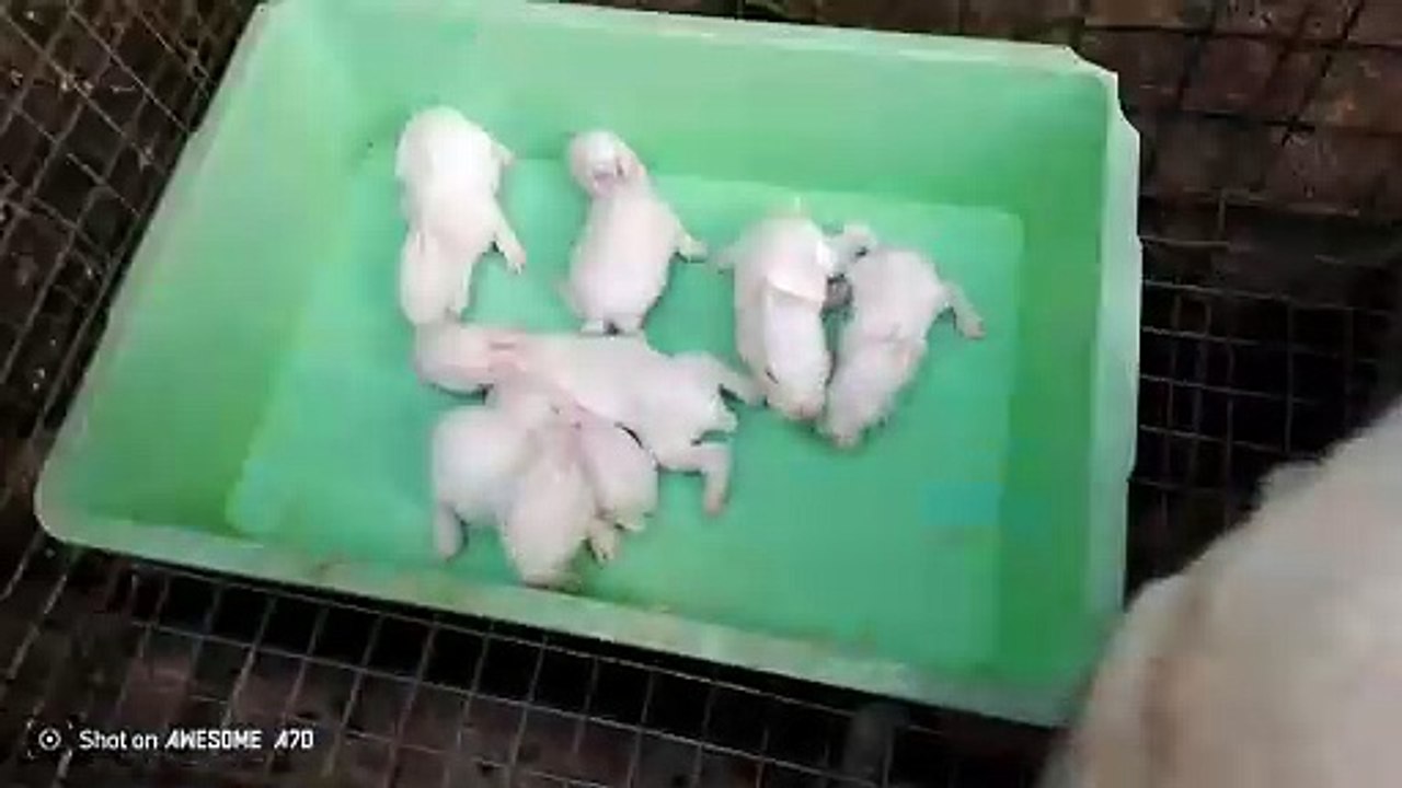 feeding time