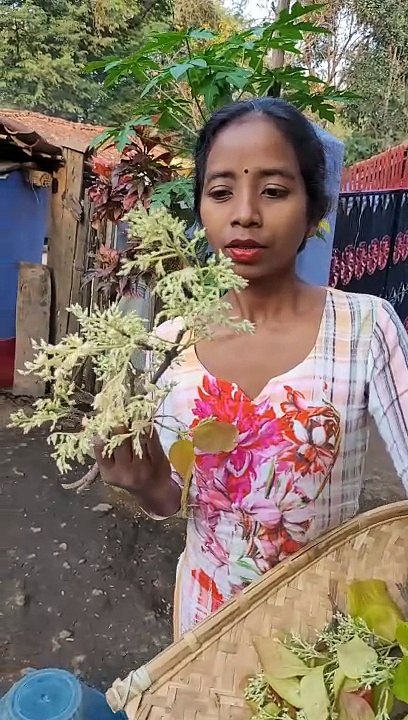 मेरे गांव का बाहा परब  | बाहा बोंगा मरांग परब | Santhali baha festival | chaibasa baha parab 2024
