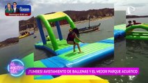 Sea testigo del avistamiento de ballenas y disfrute el mejor parque acuático en Tumbes