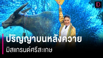 ปริญญาบนหลังควาย  มิสแกรนด์ศรีสะเกษ  | HOTSHOT เดลินิวส์ 31/03/67