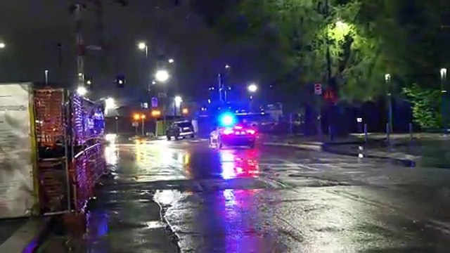 Temporale di Pasqua a Milano: alberi caduti e danni