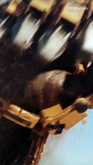 #WBPartner I just wanted to take a picture of the pyramids... anyway I'll go to the cinema to see the movie. Get your tickets and join