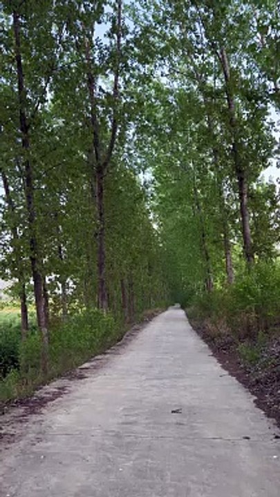 would it be scary for a person to walk on such a lone