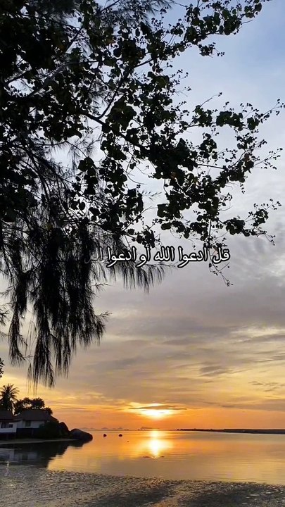 تلاوة هادئة