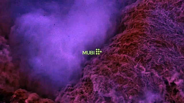 Happy Together Bande-annonce (EN)