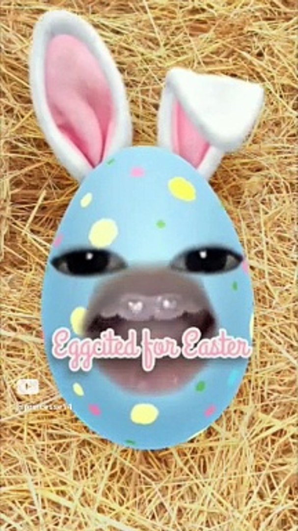 ⁣#viral #funny #comedy #cute #drôle #challenge #music #surprise #animal #gaming (2)