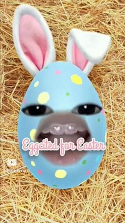 #viral #funny #comedy #cute #drôle #challenge #music #surprise #animal #gaming (2)