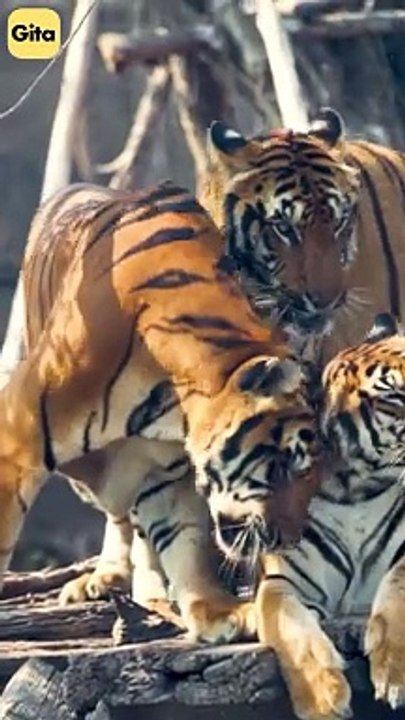 Selfish Care || Acharya Prashant