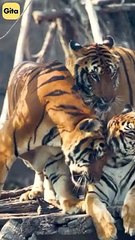 Selfish Care || Acharya Prashant