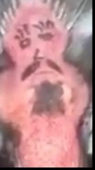 ASTAGA MAHLUK APA INI