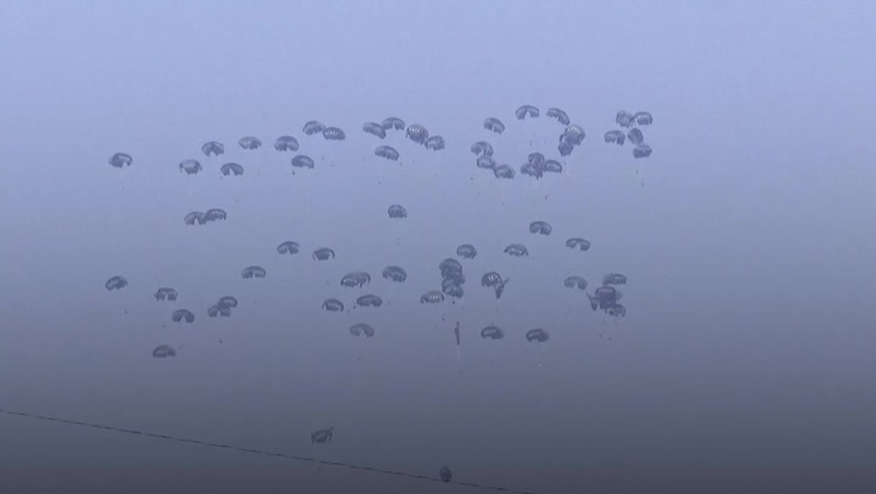 More aid airdropped into Gaza as Israel continues military offensive