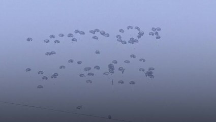 More aid airdropped into Gaza as Israel continues military offensive