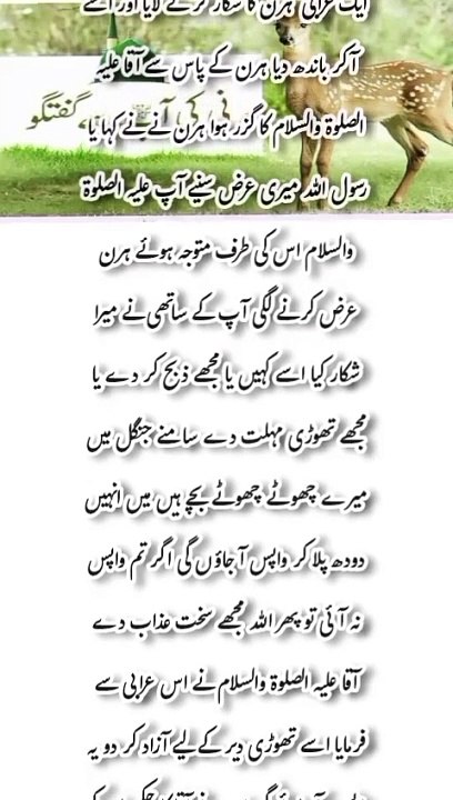 A deer's conversation with the prophet Pak