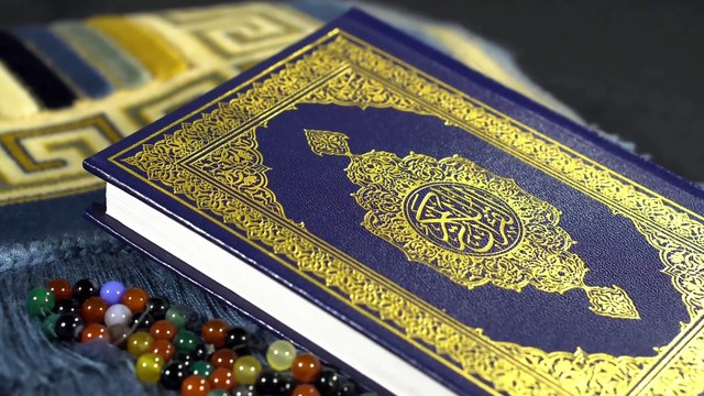 Spider Web | کمزور گھر | Surah Al Ankaboot Ayat 41 | Tafseer | Weird Stories