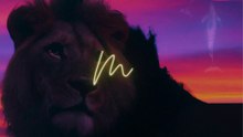 Planeta Vivo  Un Viaje Emocional al Corazón del Mundo Animal