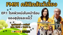 โรคผิวหนังในหน้าร้อนของสุนัขและแมว EP.1 : FM91 คลินิกสัตว์เลี้ยง : 31 มีนาคม 2567