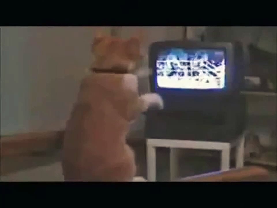 funny
