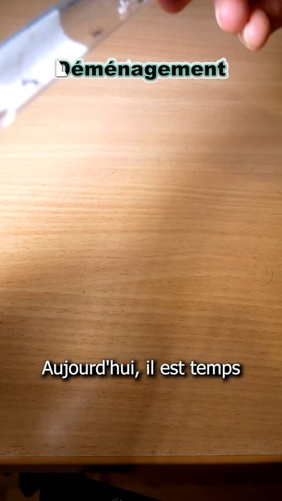 Déménagement de ma colonie de Fourmis