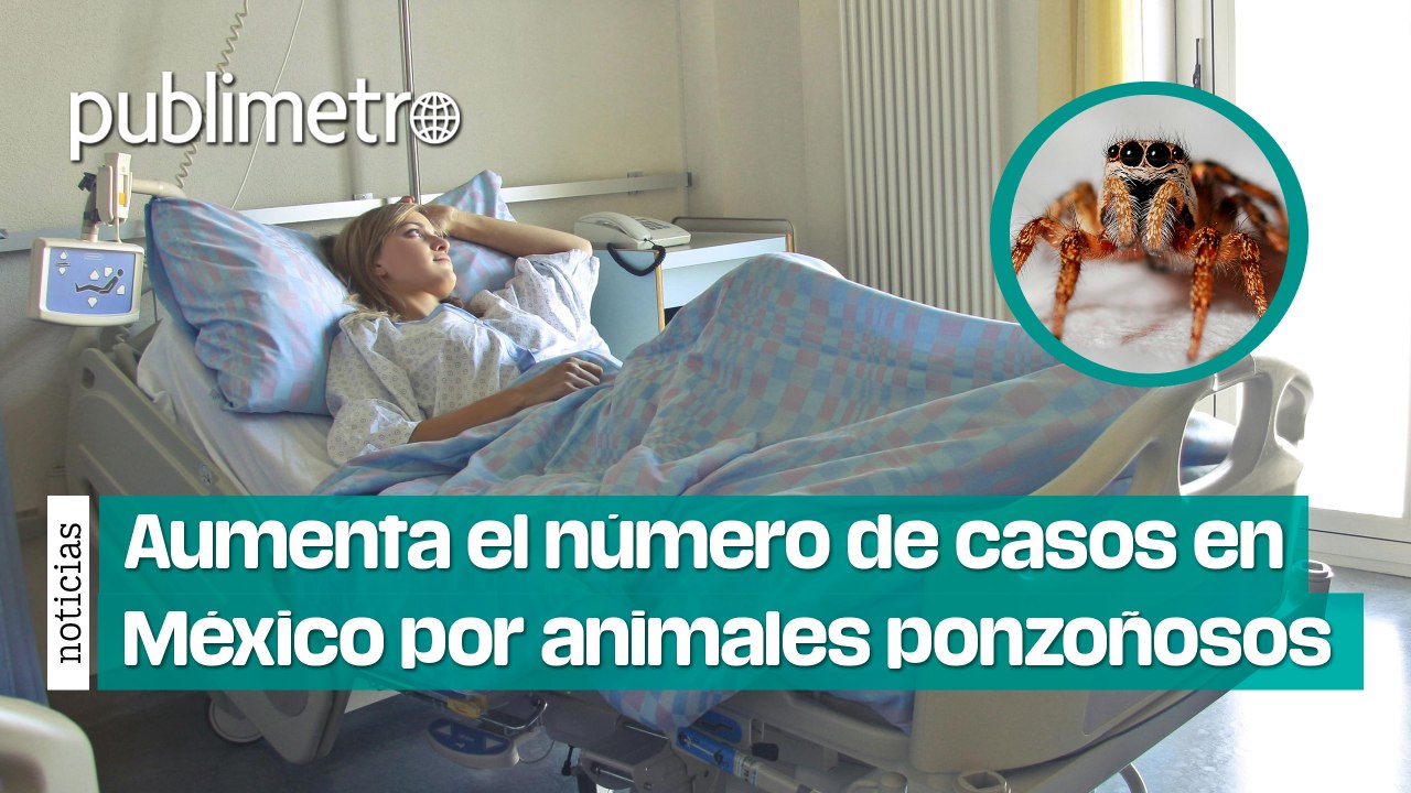 Aumenta el número de casos en México por animales ponzoñosos