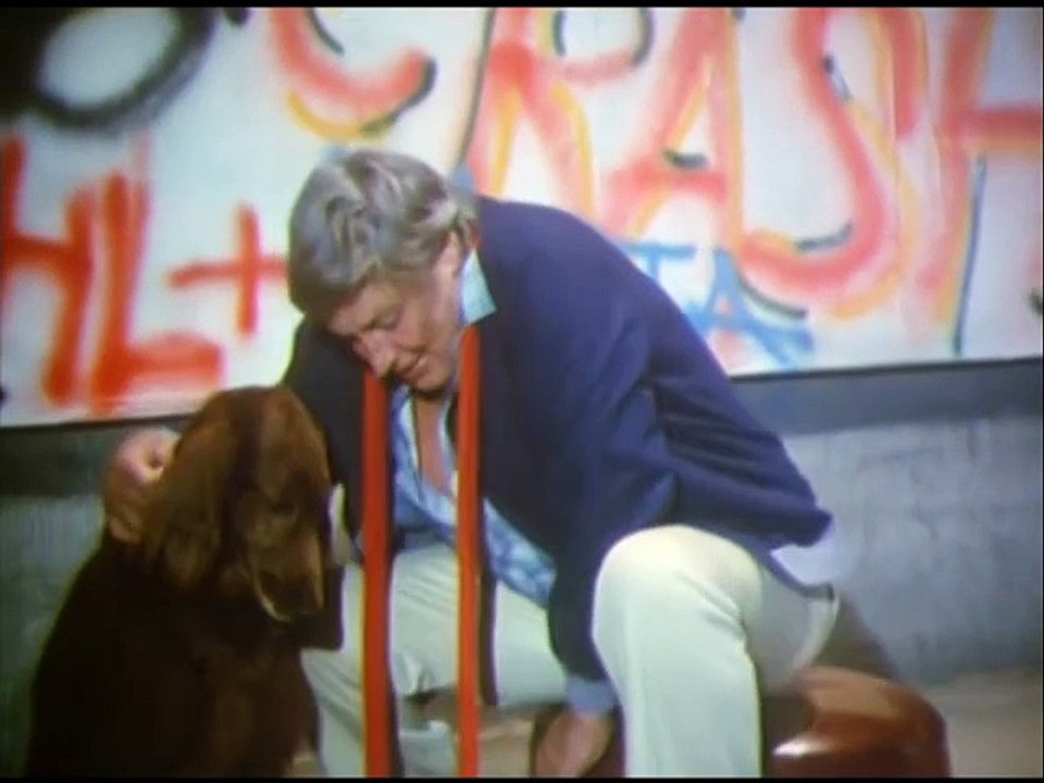 Drei Damen vom Grill - Ganze Serie - Staffel 5/Folge 8  'Ein Herz für Pico' - 1984