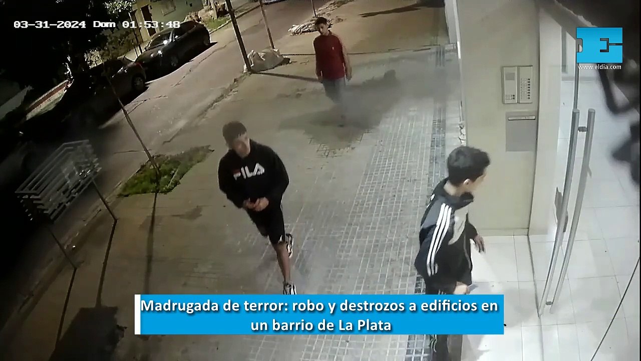 Madrugada de terror: robo y destrozos a edificios en un barrio de La Plata