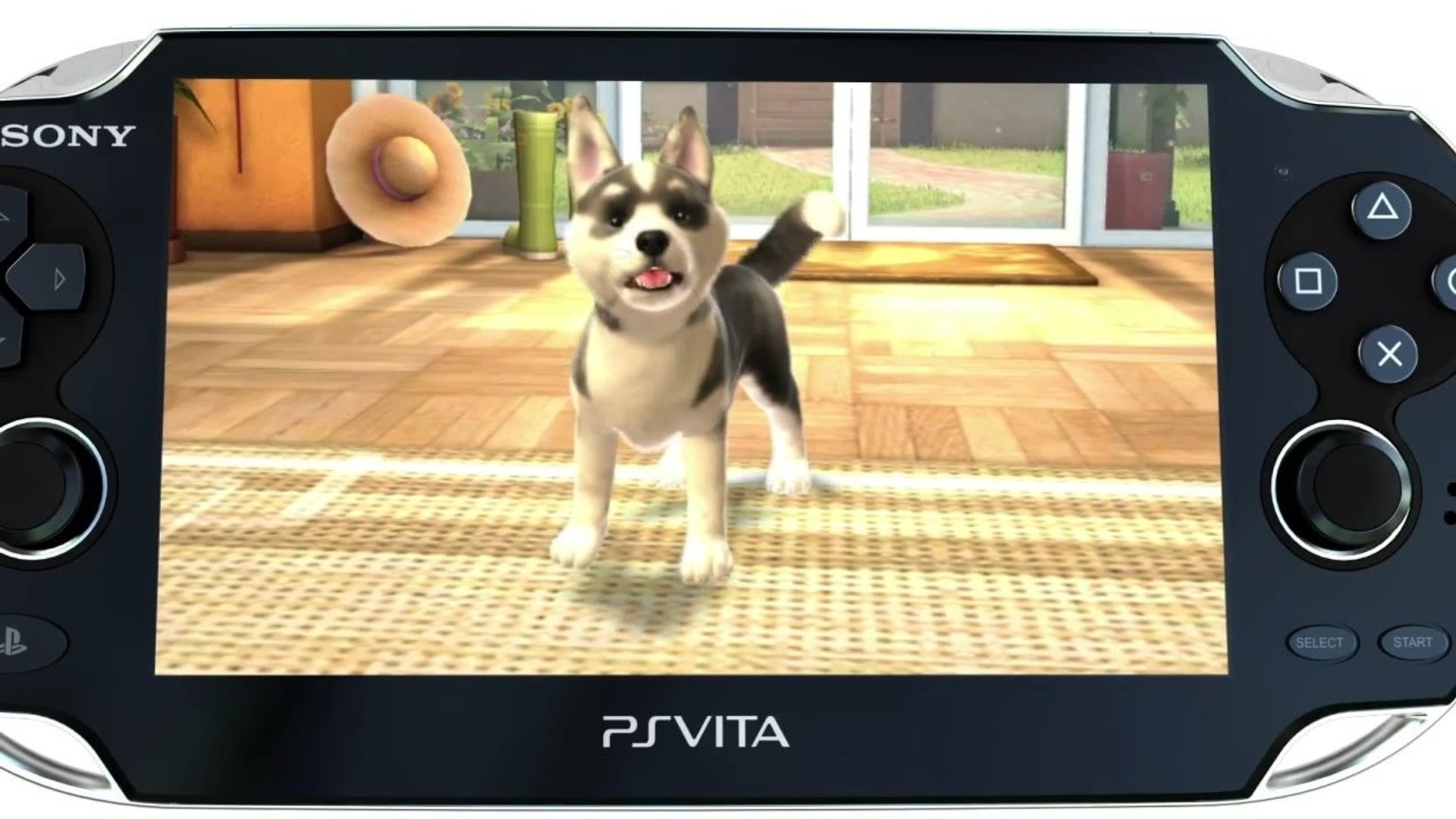 ⁣Playstation Vita Pets