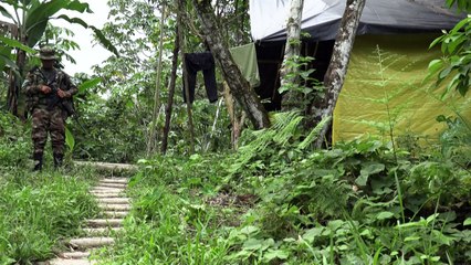 Situación humanitaria en Colombia es "preocupante" pese a treguas, dice Cruz Roja