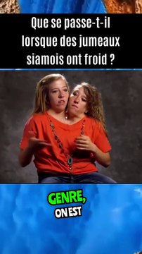 Que se passe-t-il lorsque des jumeaux siamois ont froid ? Les jumeaux siamoi...