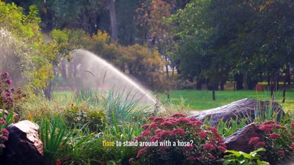 7 Easy Tips for Creating a Low Maintenance Garden | Enjoy Effortless Greenery