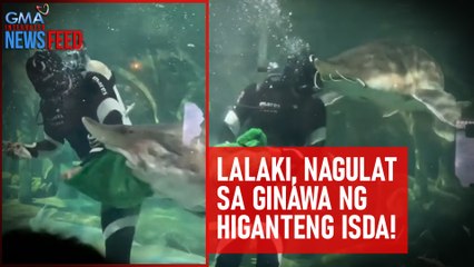 Lalaki, nagulat sa ginawa ng higanteng isda! | GMA Integrated Newsfeed