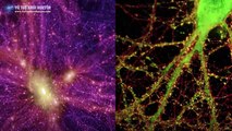 Sự giống nhau đến kỳ lạ giữa Vũ trụ và Não người