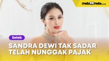 Sandra Dewi Keluar dari Mobil Mewah, Tak Sadar Telah Nunggak Pajak, Nilainya Bisa Buat Beli Toyota Avanza