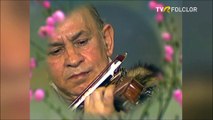 Alexandru Bidirel - Instrumental vioara (Tezaur folcloric - arhiva TVR)