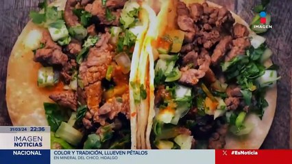 Día del taco: ¿Cuáles son los más populares en la CDMX?