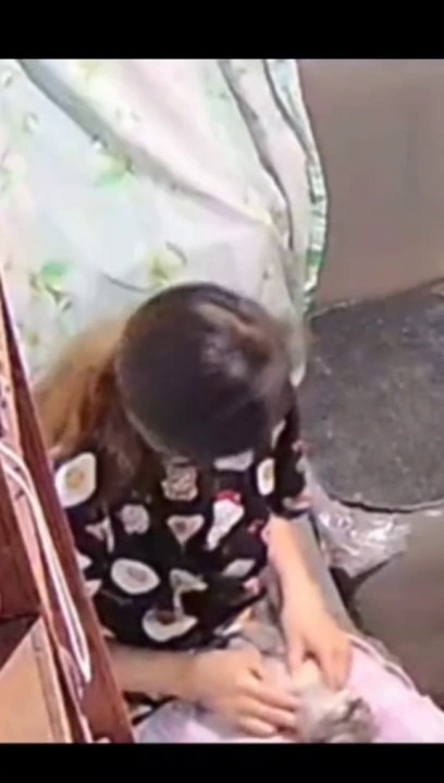 kucing lucu bikin gemes