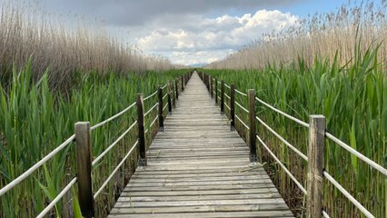 Havdan görüntülenen kuş cenneti hayran bıraktı