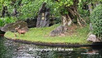 Perfume River Cruise to Thien Wu Pagoda, Lanco Bay at Hue, Vietnam