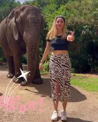 Elephant hyping me #krugernationalpark