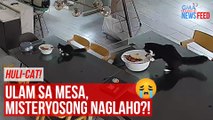 Huli-cat! Ulam sa mesa, misteryosong naglaho?! | GMA Integrated Newsfeed