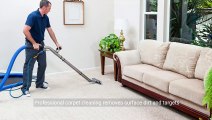 The Benefits of Professional Carpet Cleaning for Homes | Renew Your Living Space