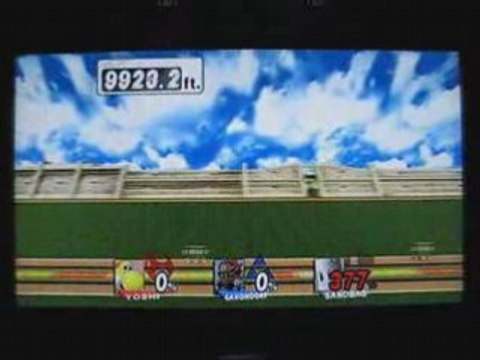 HRC Yoshi & Ganondorf