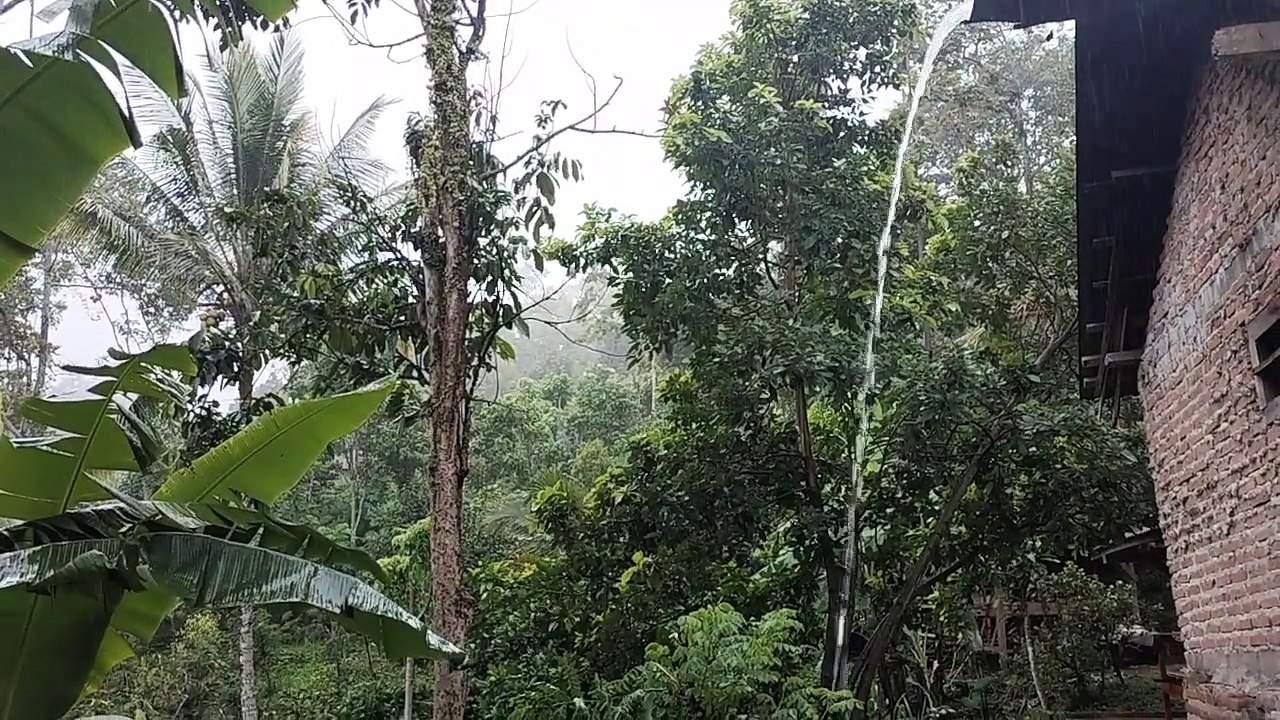 Hujan deras di pedesaan Jombang bahaya longsor