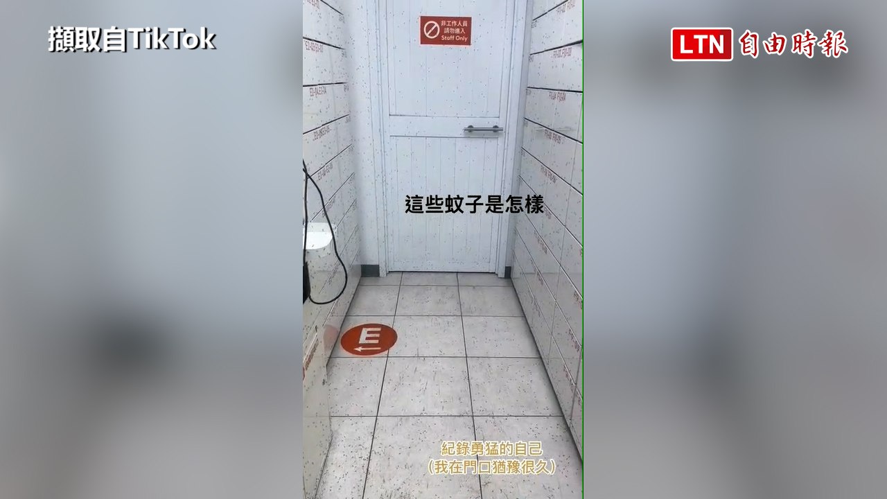蝦皮店到店變「真實蚊子館」 高市衛生局：搖蚊不會吸血蝦皮店到店變「真實蚊子館」 高市衛生局：搖蚊不會吸血(擷取自TikTok/高市衛生局提供)