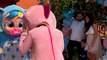 Happy Tears All Around! Heartwarming Gender Reveal Moments